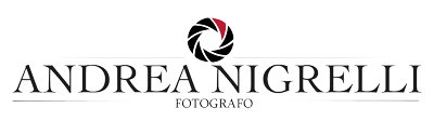Enrico Miceli - logo-nigrelli.png